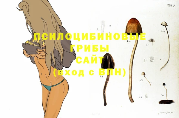 a pvp Карталы