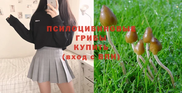 гидропоника Кодинск