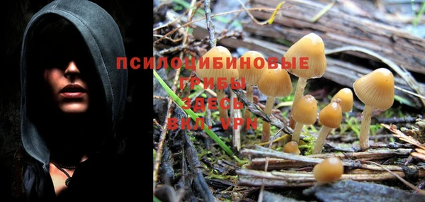 MDMA Козельск