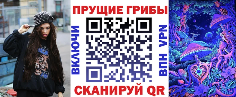 Псилоцибиновые грибы Psilocybe  Карталы 