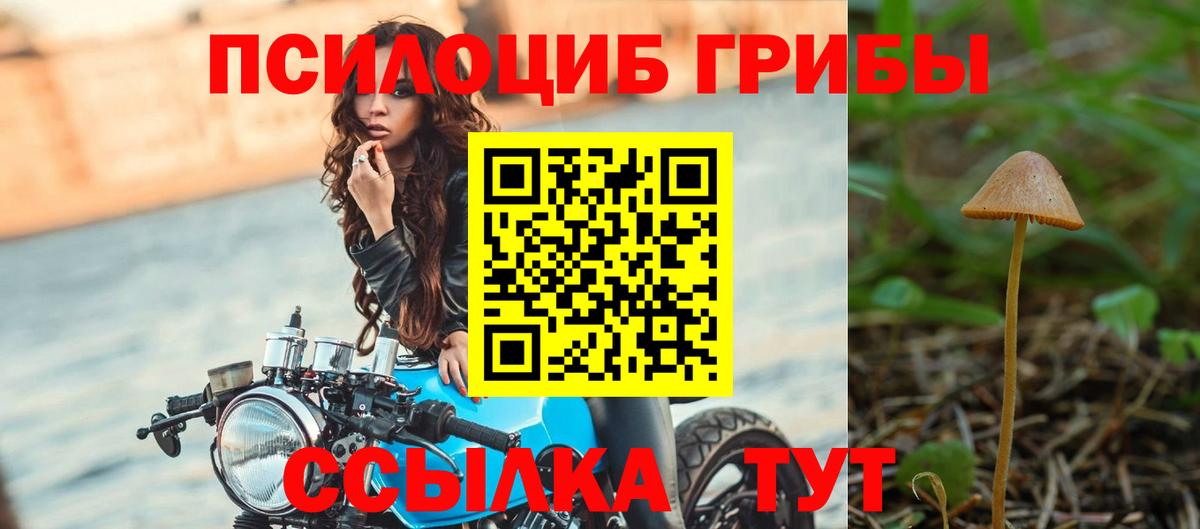 где купить   Псилоцибиновые грибы прущие грибы  Вход с VPN  Карталы 