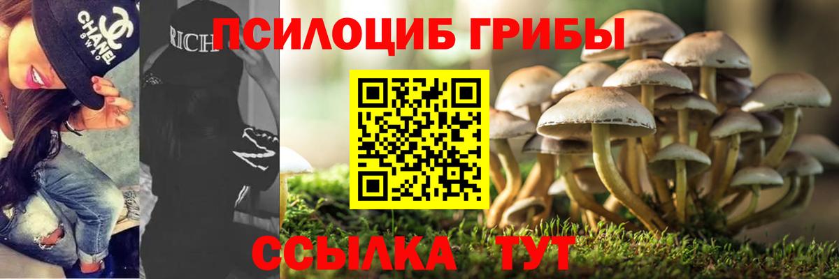 Галлюциногенные грибы прущие грибы Карталы
